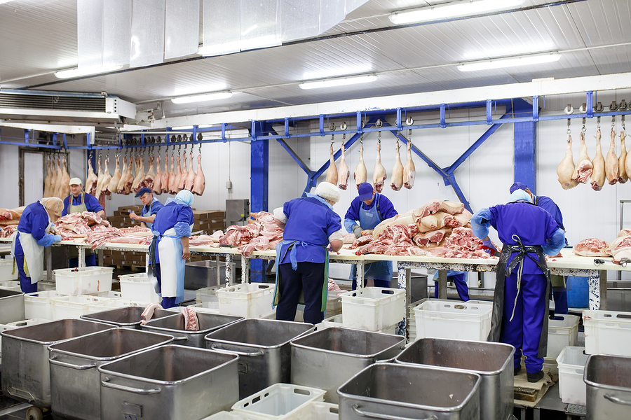 food production