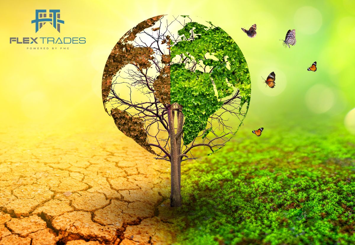 Celebrating World Environment Day