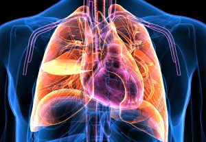 X-Ray Operator PCB Inspection Jobs Nationwide